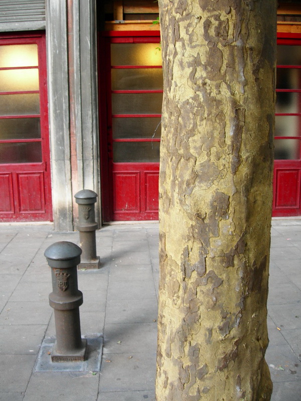 replica corteza arbol aprox. 250xo35x45 (38eu.) 3u